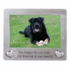 Dei - Pet Memorial Frame Gifts